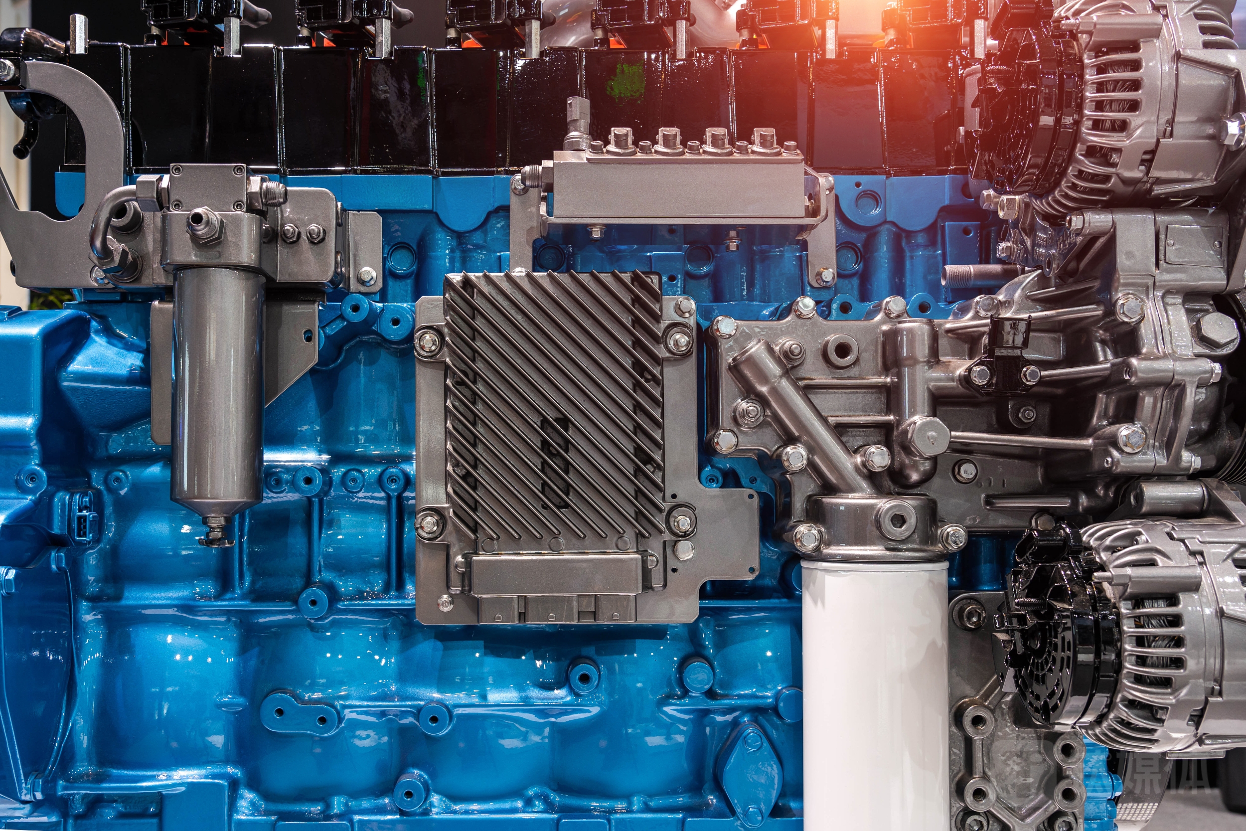 图源：视觉中国