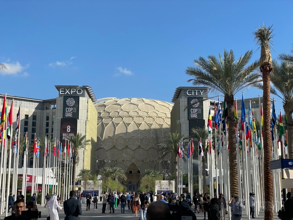 11月30日上午，大会入场后的蓝区广场；摄影/甚平