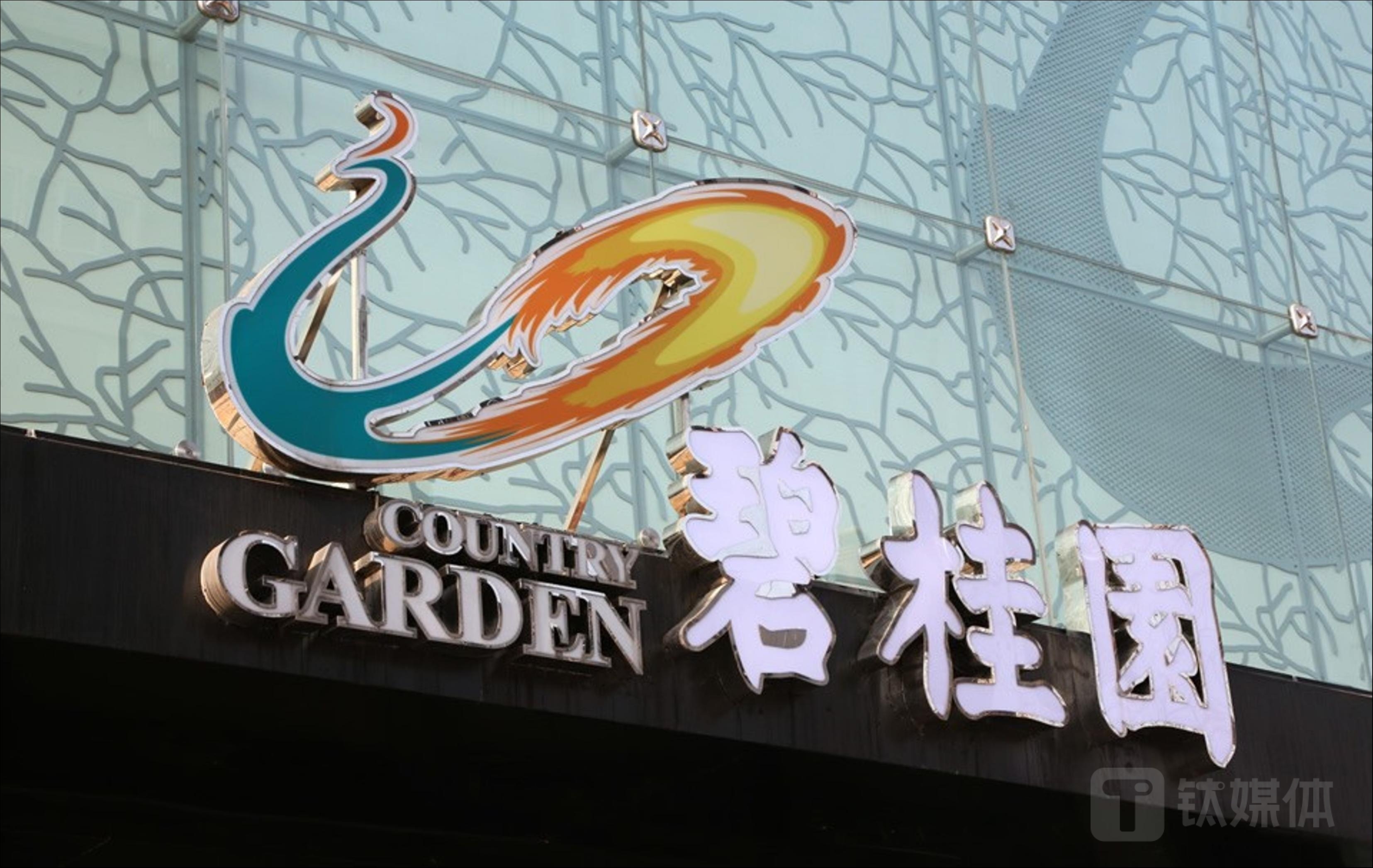 碧桂园四位董事年薪降至12万，开源节流、集中资源保交付