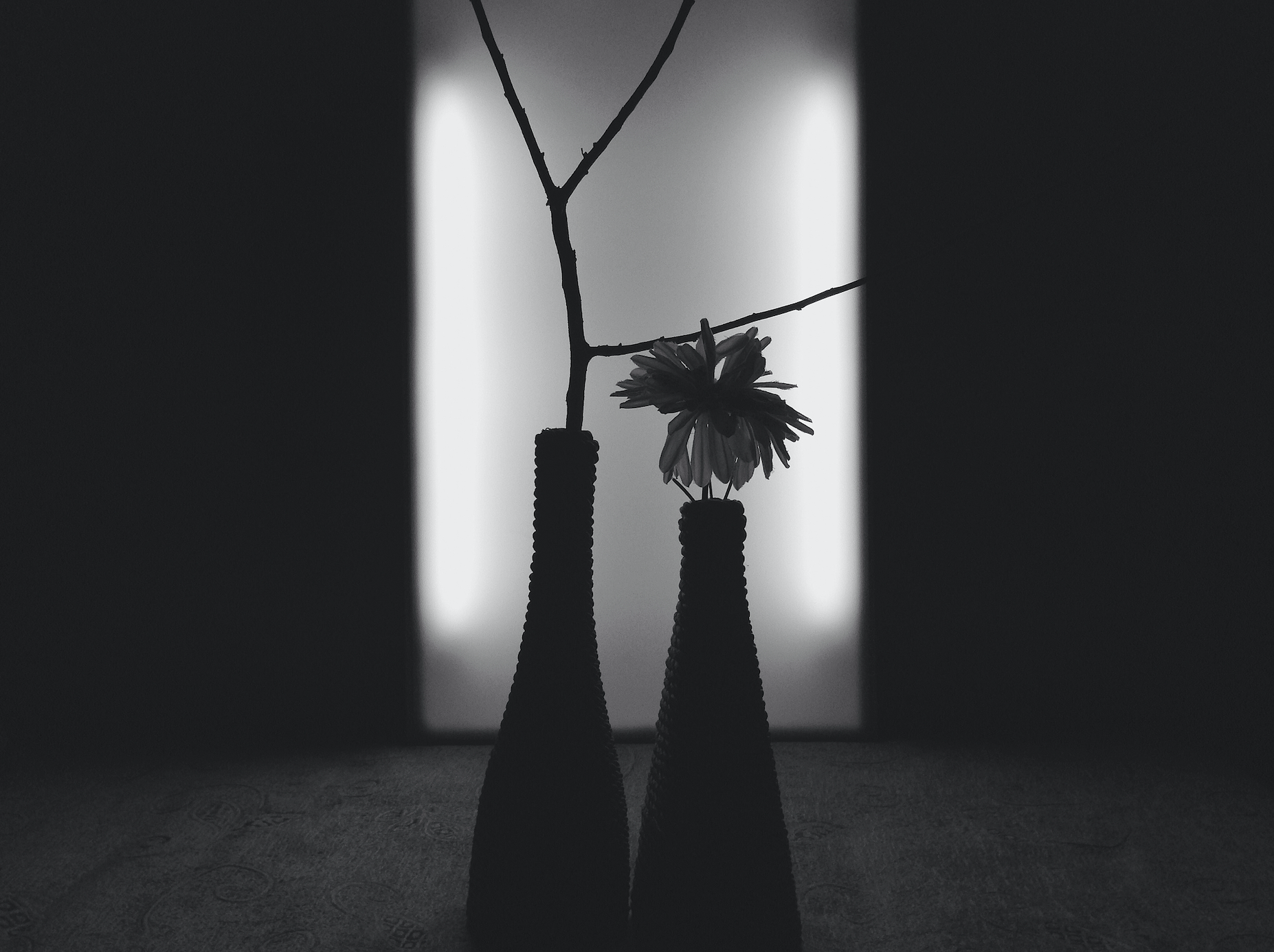 女性投资人的“花瓶困境”｜钛媒体创投家