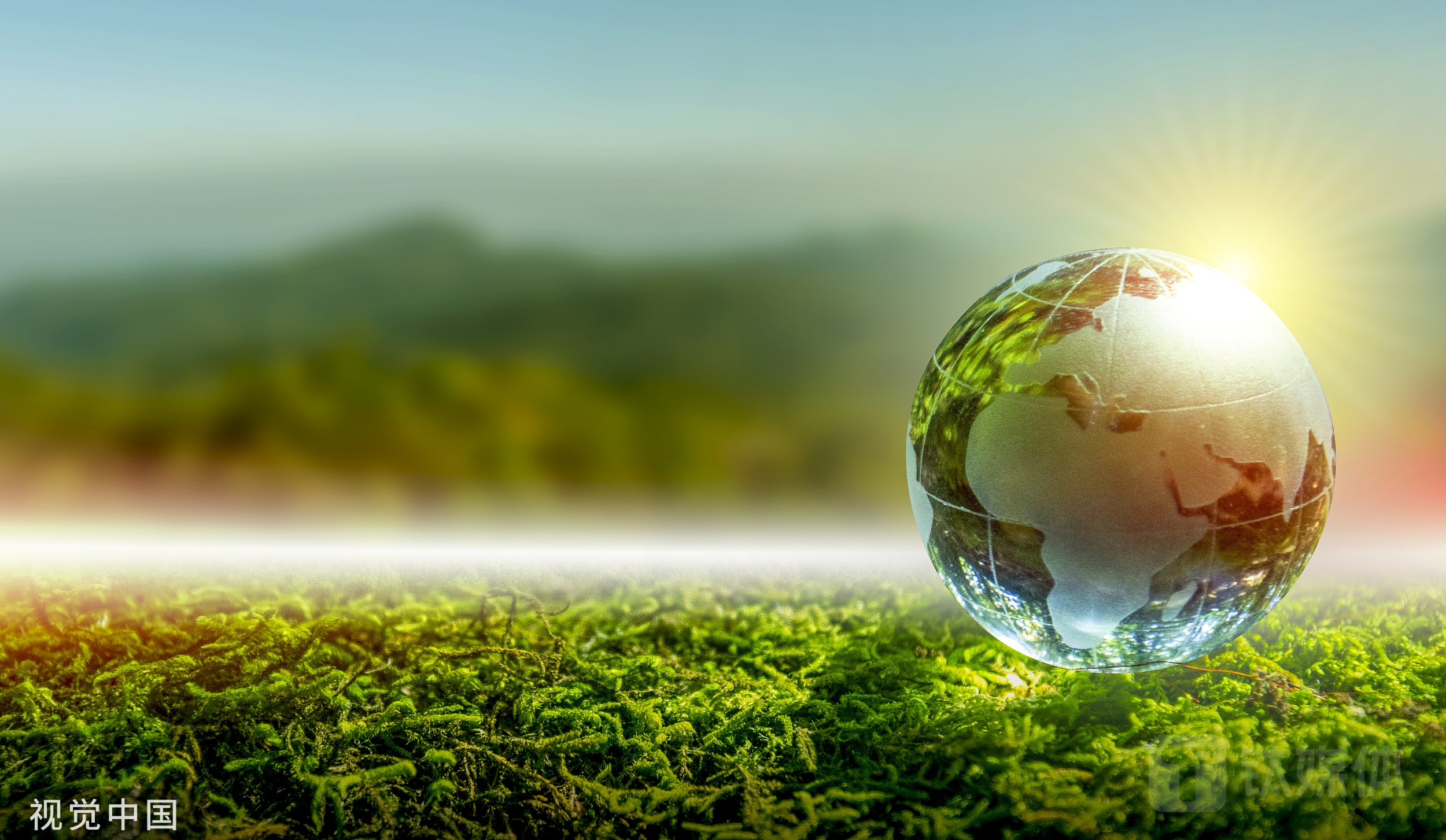 图源：视觉中国