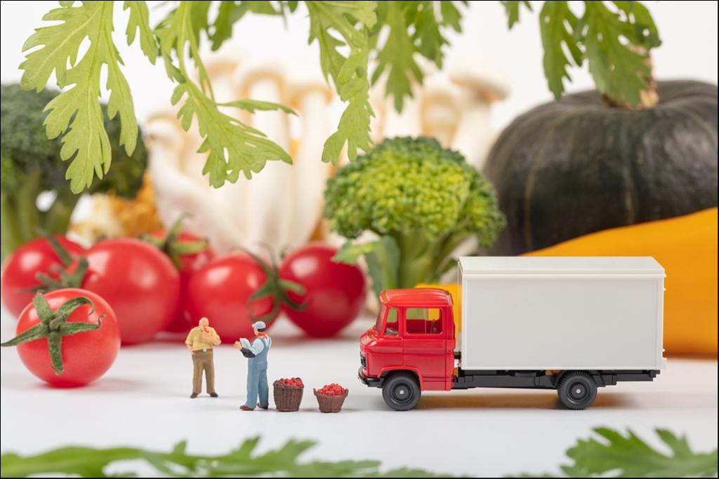 图片来源：视觉中国