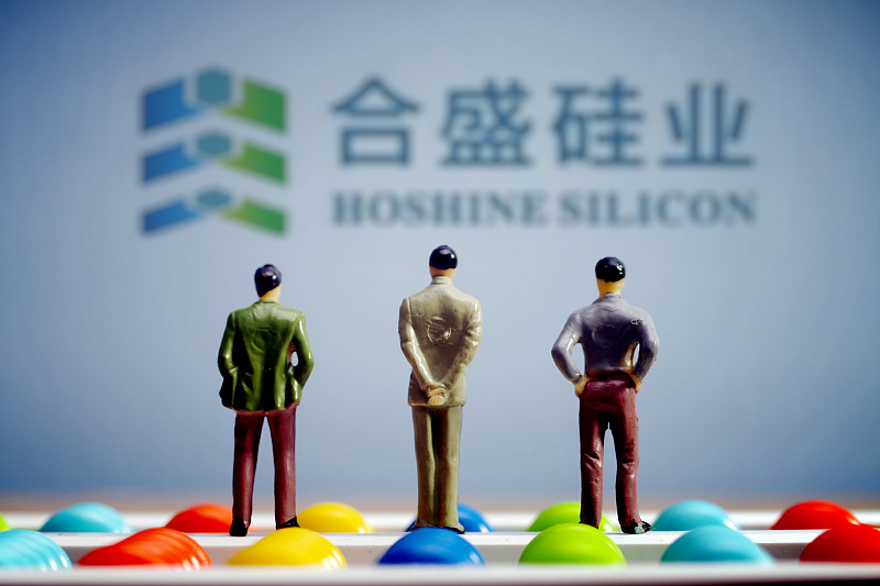 合盛硅业前高管案家属再举报，指招股书多处信披不实且“伪造公文”