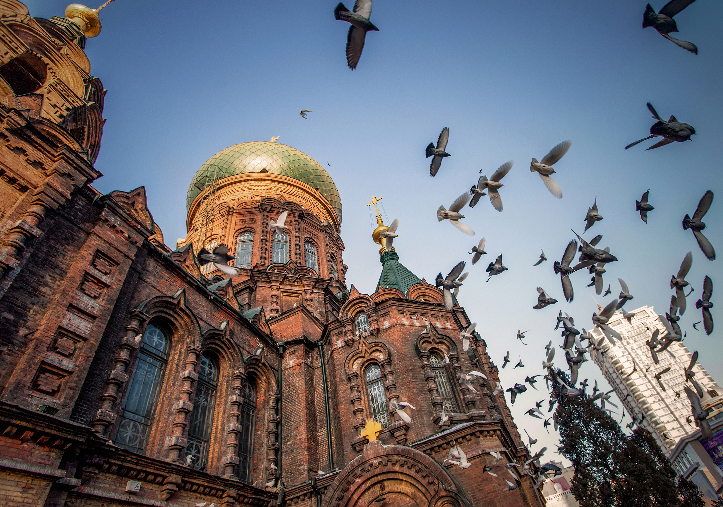 图片来源@视觉中国