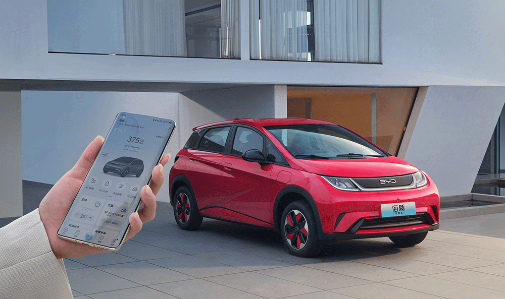 「冠军版」已过时，「荣耀版」成比亚迪“砍价”新宠