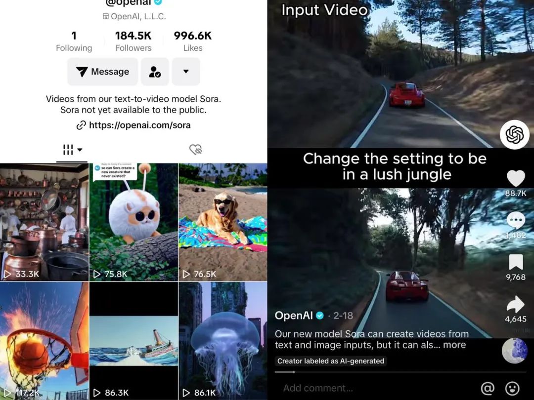 Sora杀入Tiktok，短视频营销革命要来了吗？