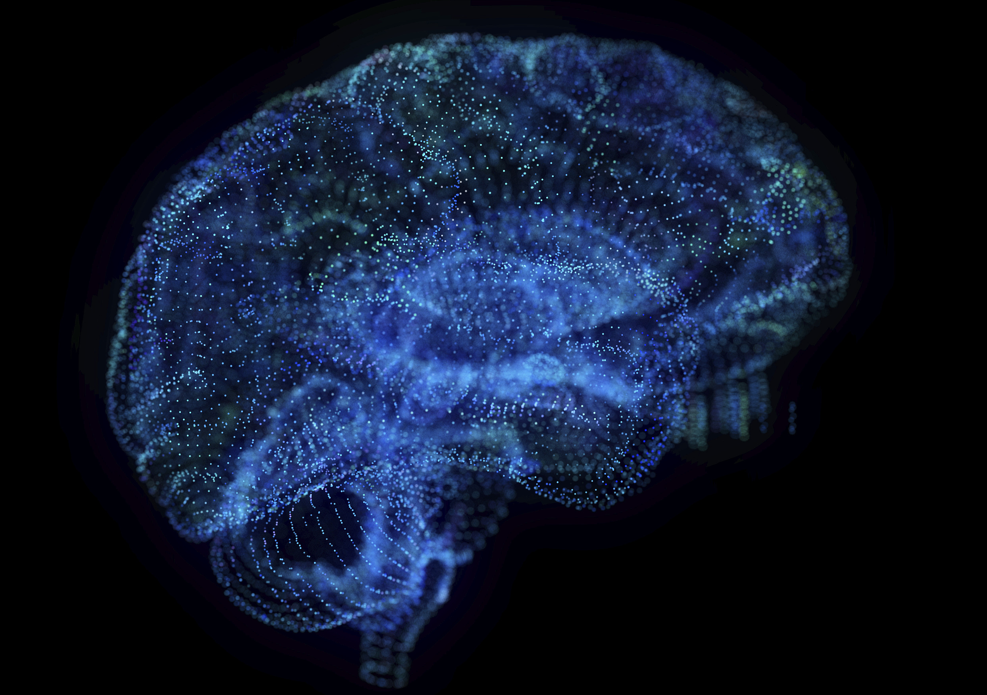 图片来源@视觉中国