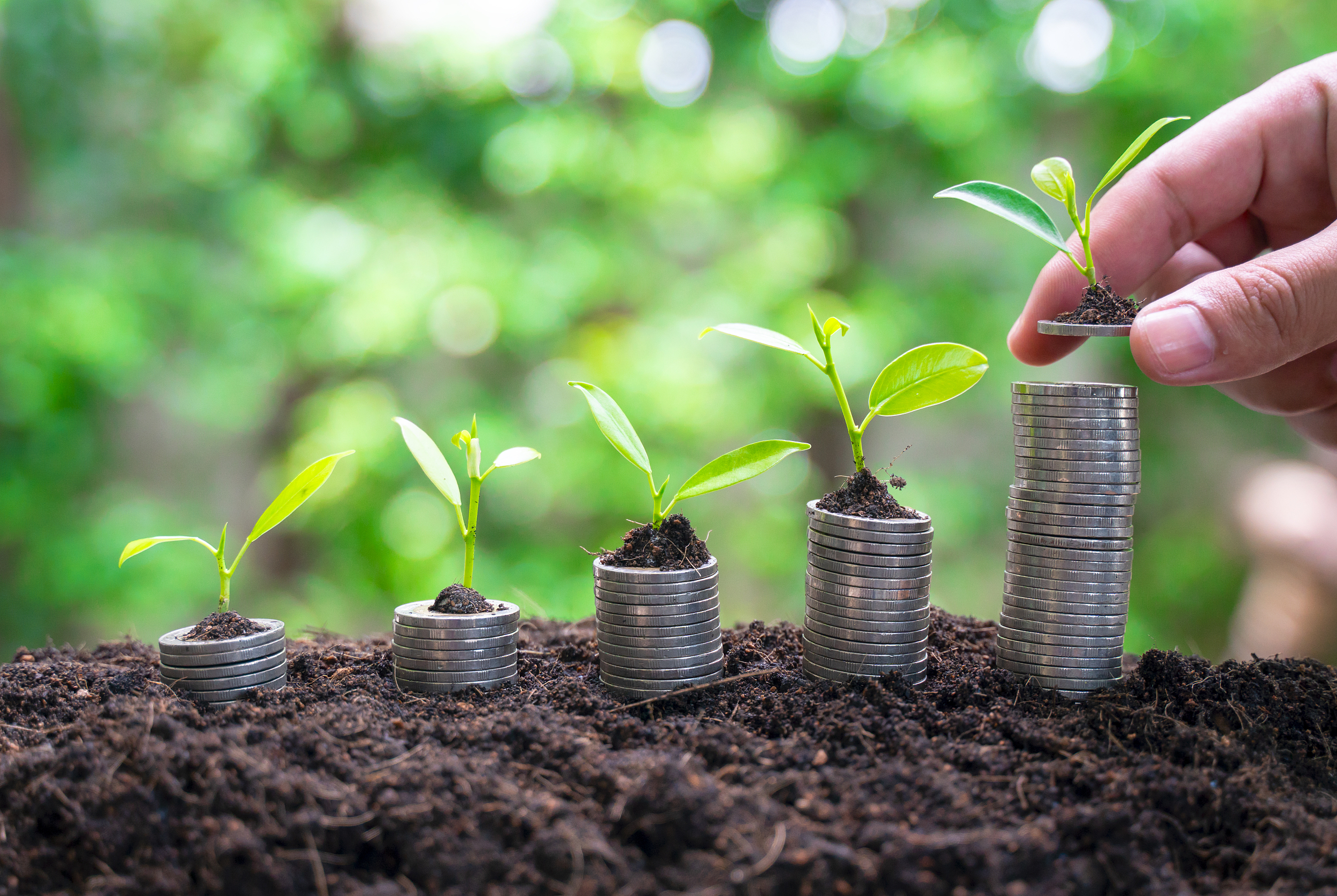 图片来源：视觉中国