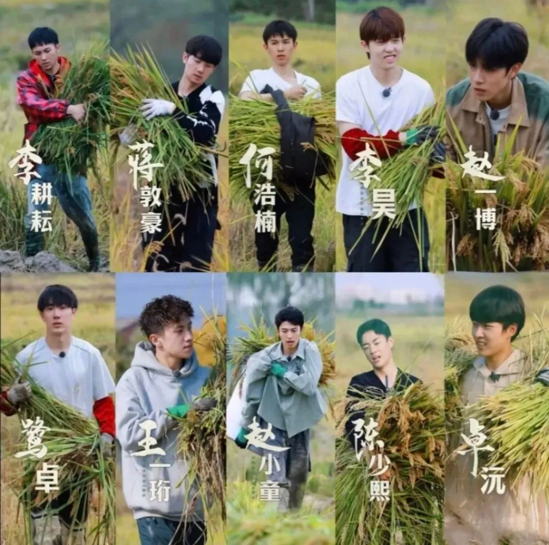 种地，成了“糊咖”最好的医美