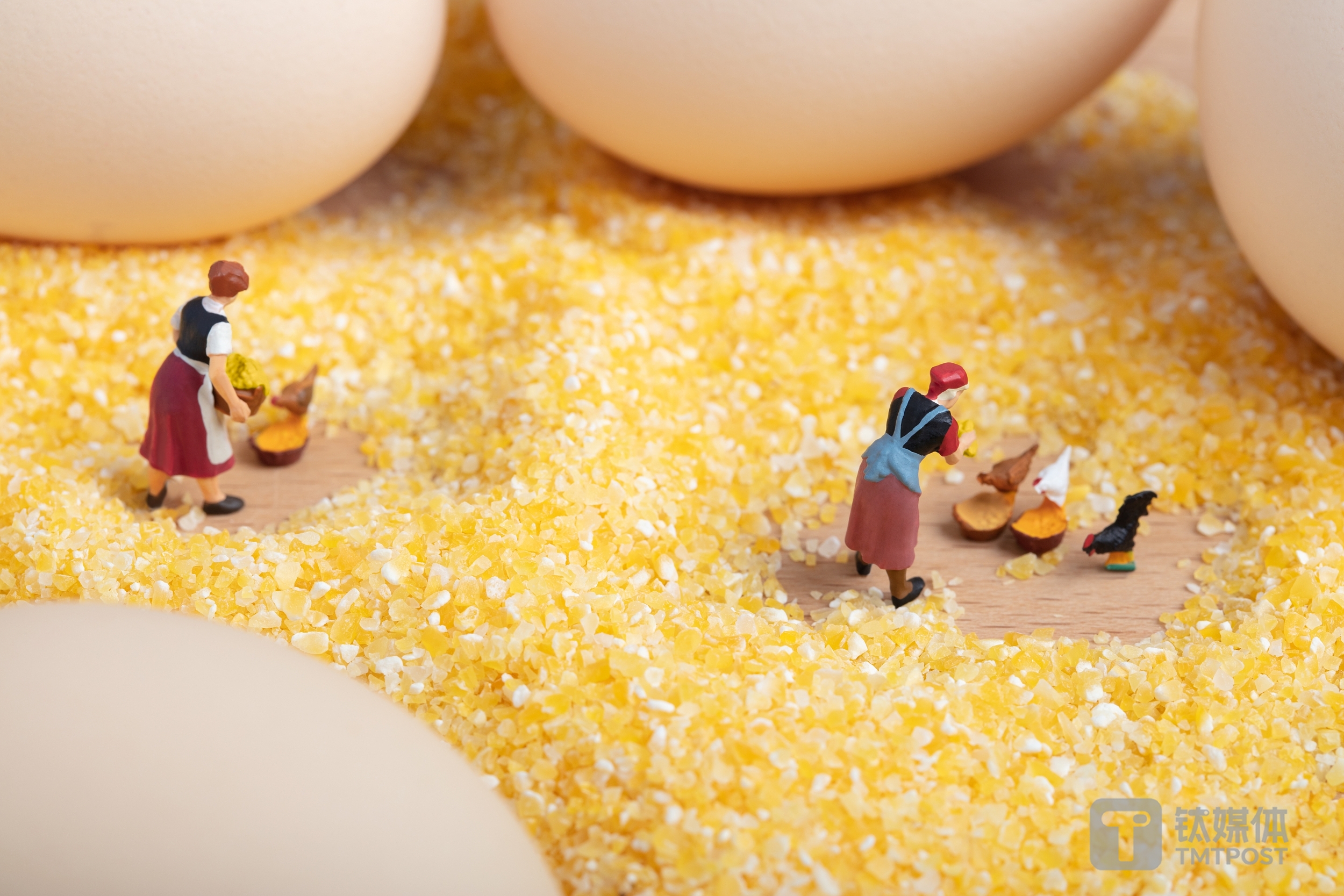 海大集团：身陷猪周期，千亿营收之下“烦恼”犹存| 看财报