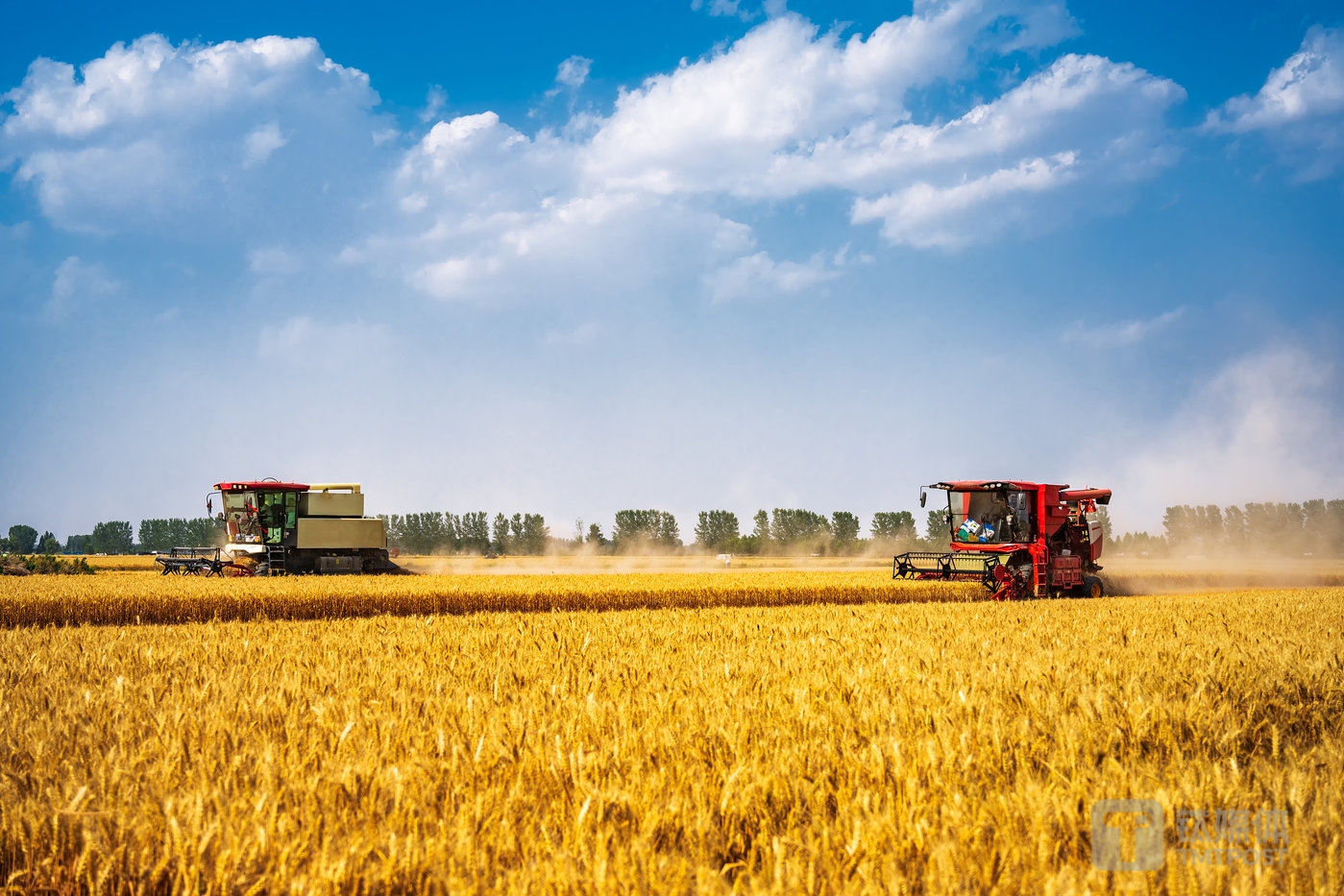 专向农户放贷，利率超17%：背靠蚂蚁的中国版“穷人银行”也要冲刺上市了