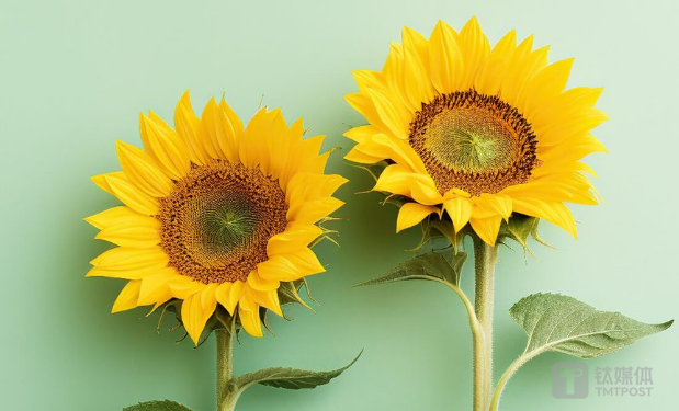 藏在招行年报中的几点信号：企业也爱存定期，AI已替代1.7万人｜钛媒体金融