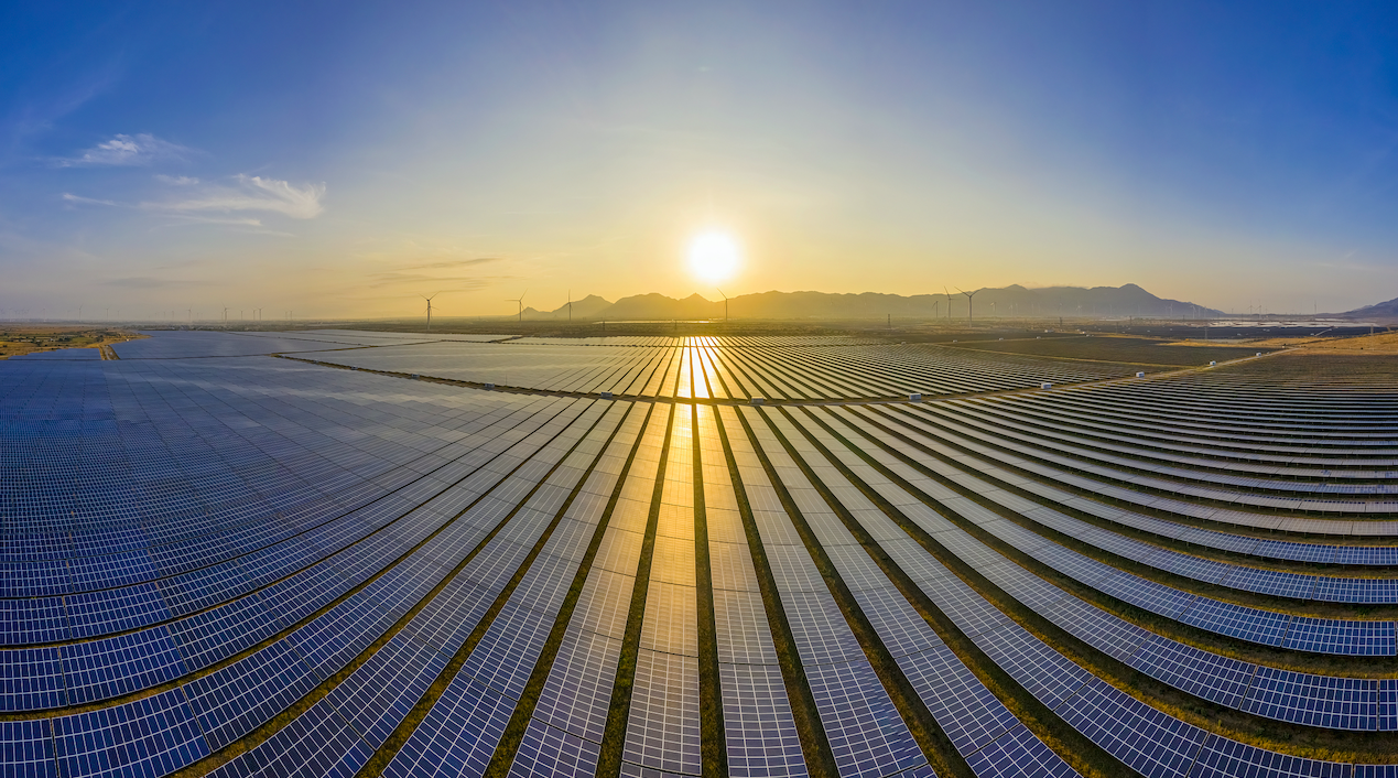 图片来源@视觉中国