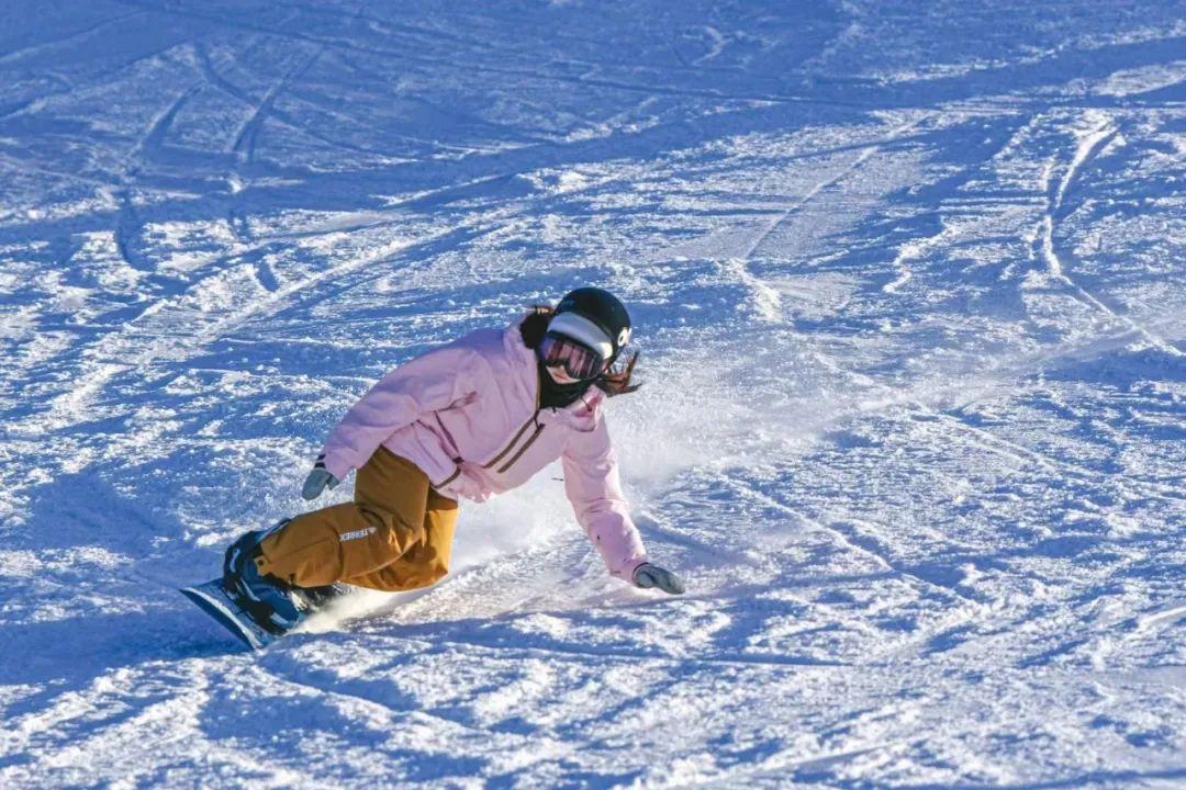 图片来源@视觉中国