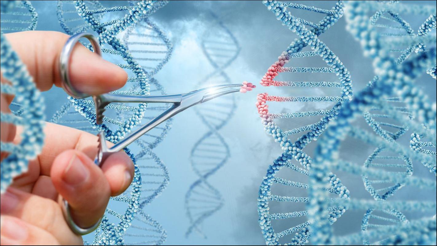 图片来源：百度图片