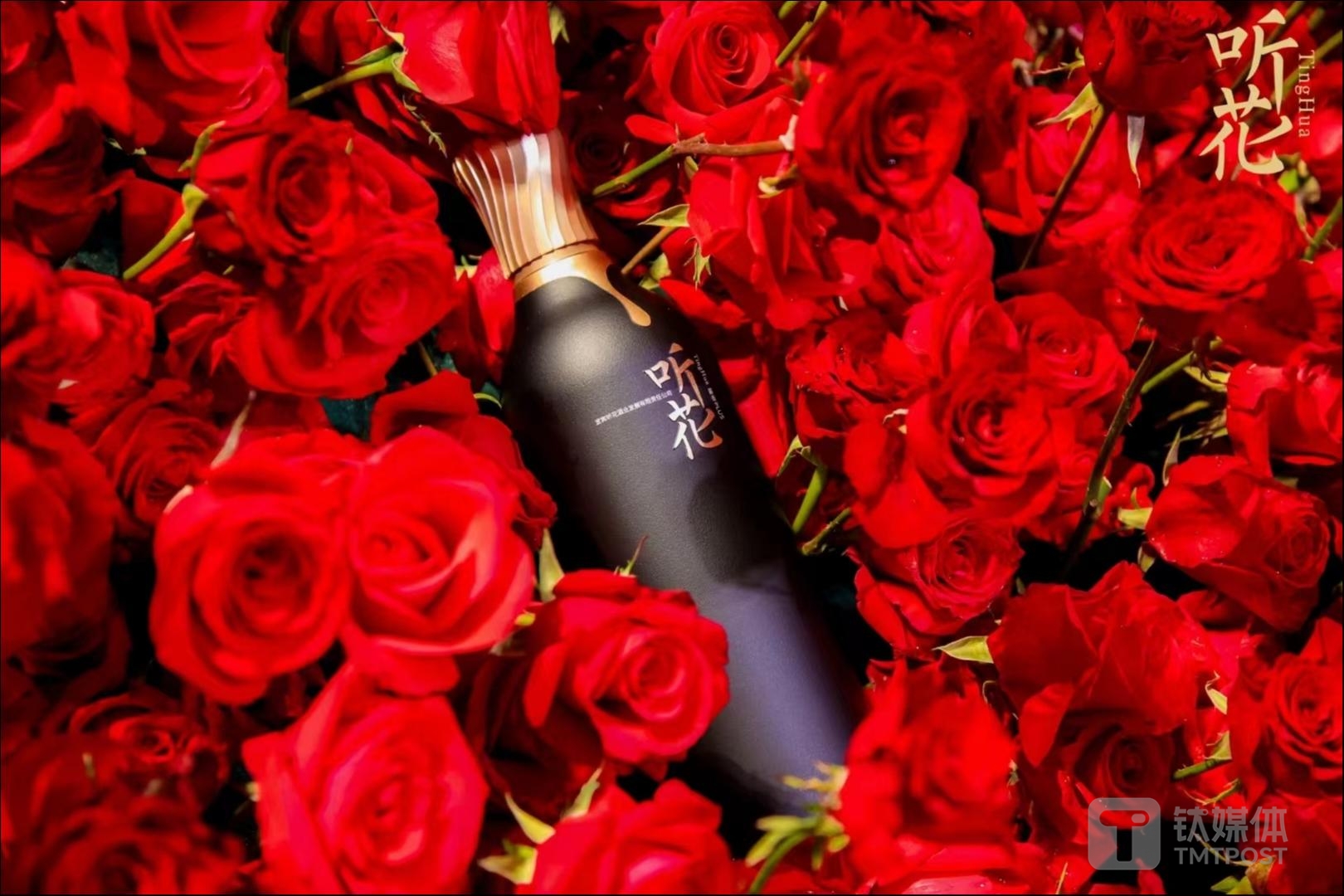 （图源：听花酒）