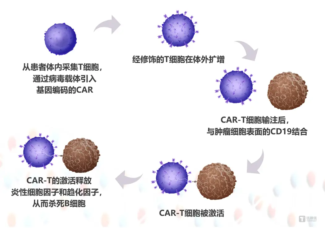 CAR-T治疗的过程