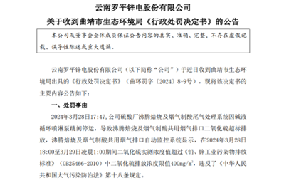 图源：罗平锌电公告
