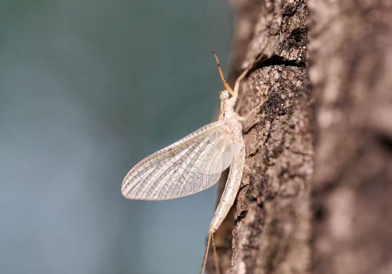 4个小时，我用AI交了60多个野朋友