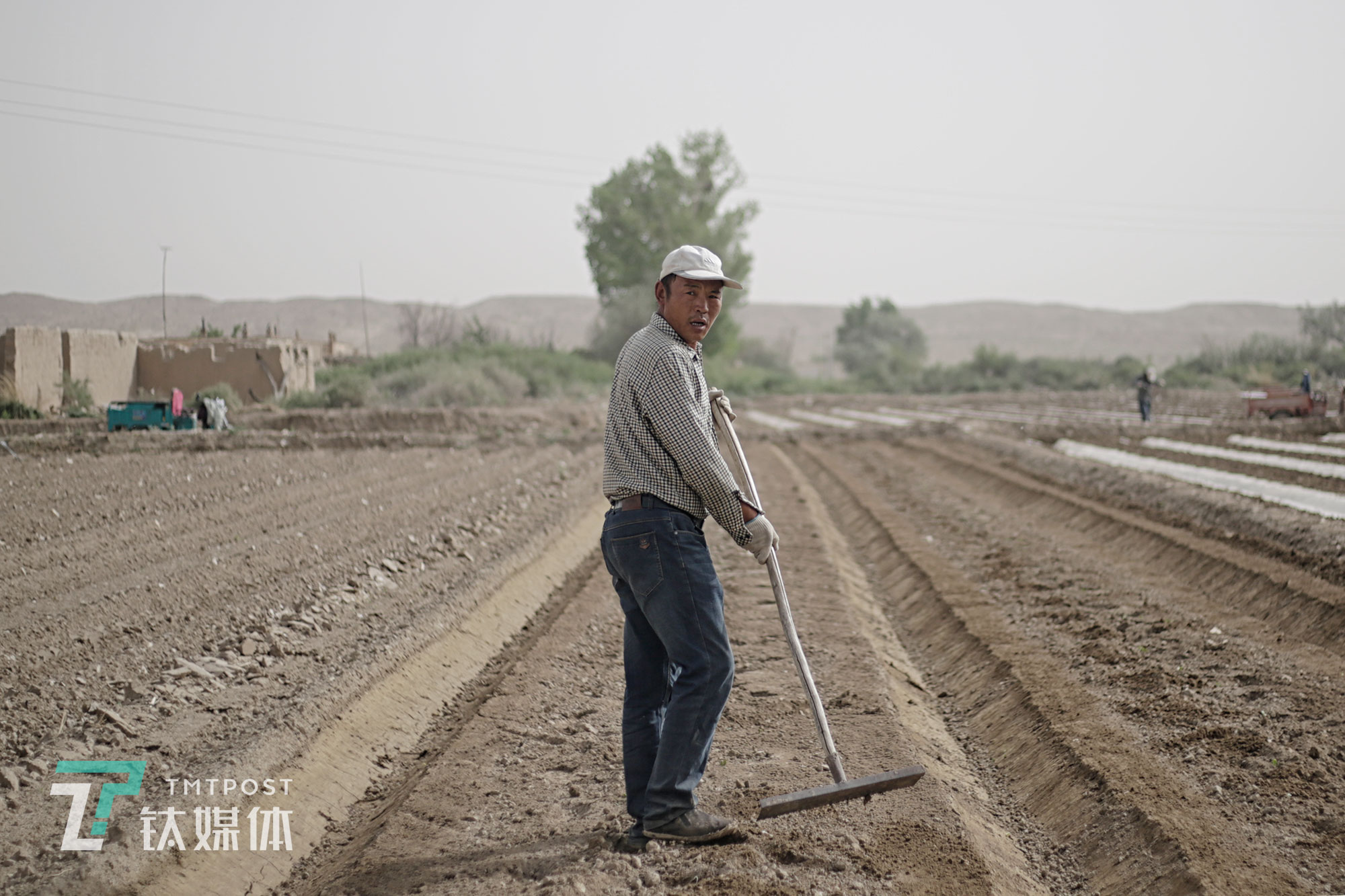 48歲瓜農(nóng)薛志明今年種了40畝蜜瓜。他每年3月開(kāi)始平地，5月中下旬播種，8月下旬收瓜賣瓜，9月閑下來(lái)直到來(lái)年3月。播種的時(shí)間是他一年中最忙最累的日子。