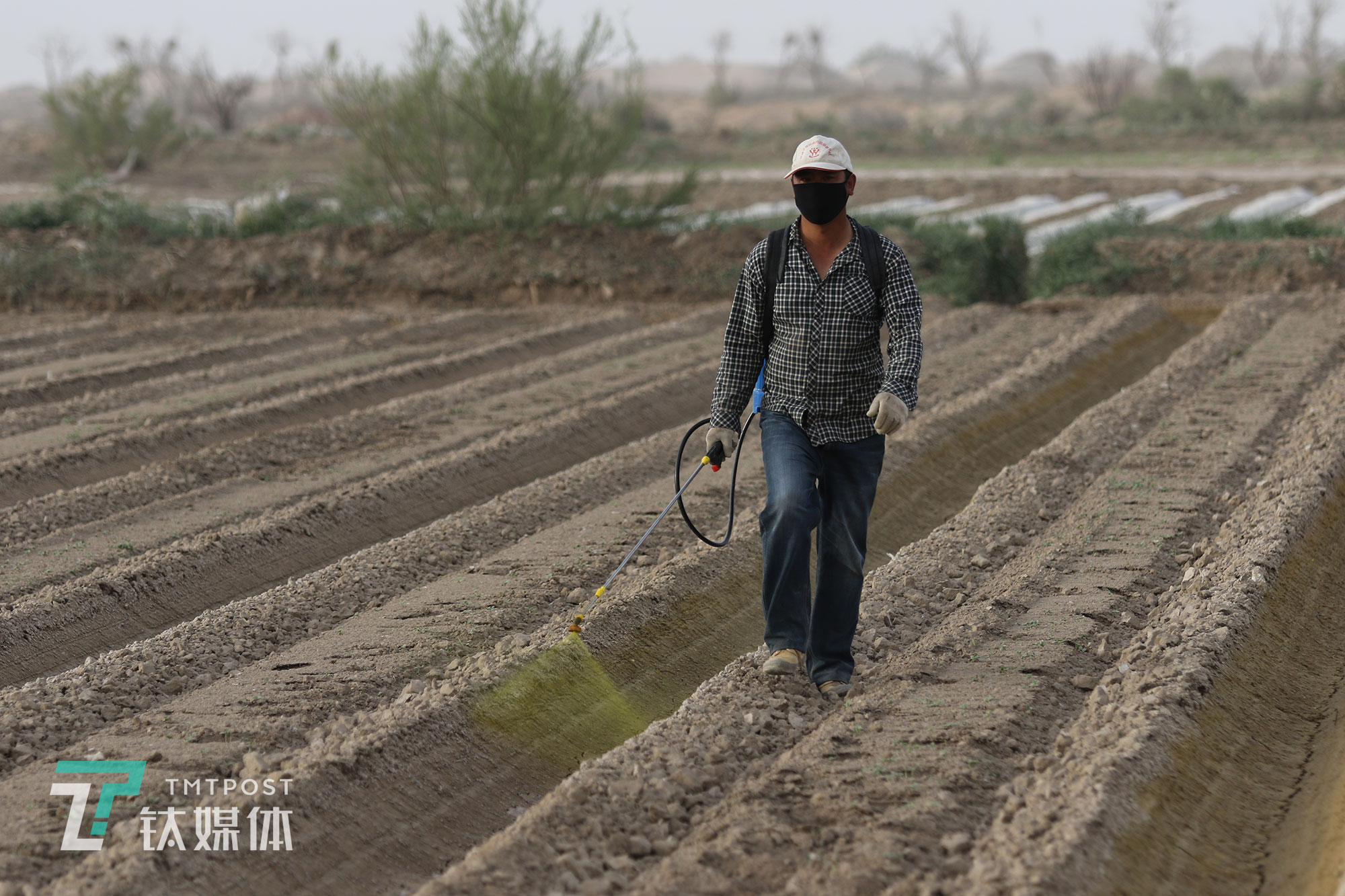 薛志明的弟弟薛志軍在瓜地噴除草劑。村莊人口流失，但土地依然是農(nóng)民最重要的保障。薛志軍44歲，在附近的一個(gè)鎮(zhèn)上開(kāi)了家大超市，由于&ldquo;人越來(lái)越少&rdquo;，超市生意不如以前那么好了，他今年也回村種了40多畝。