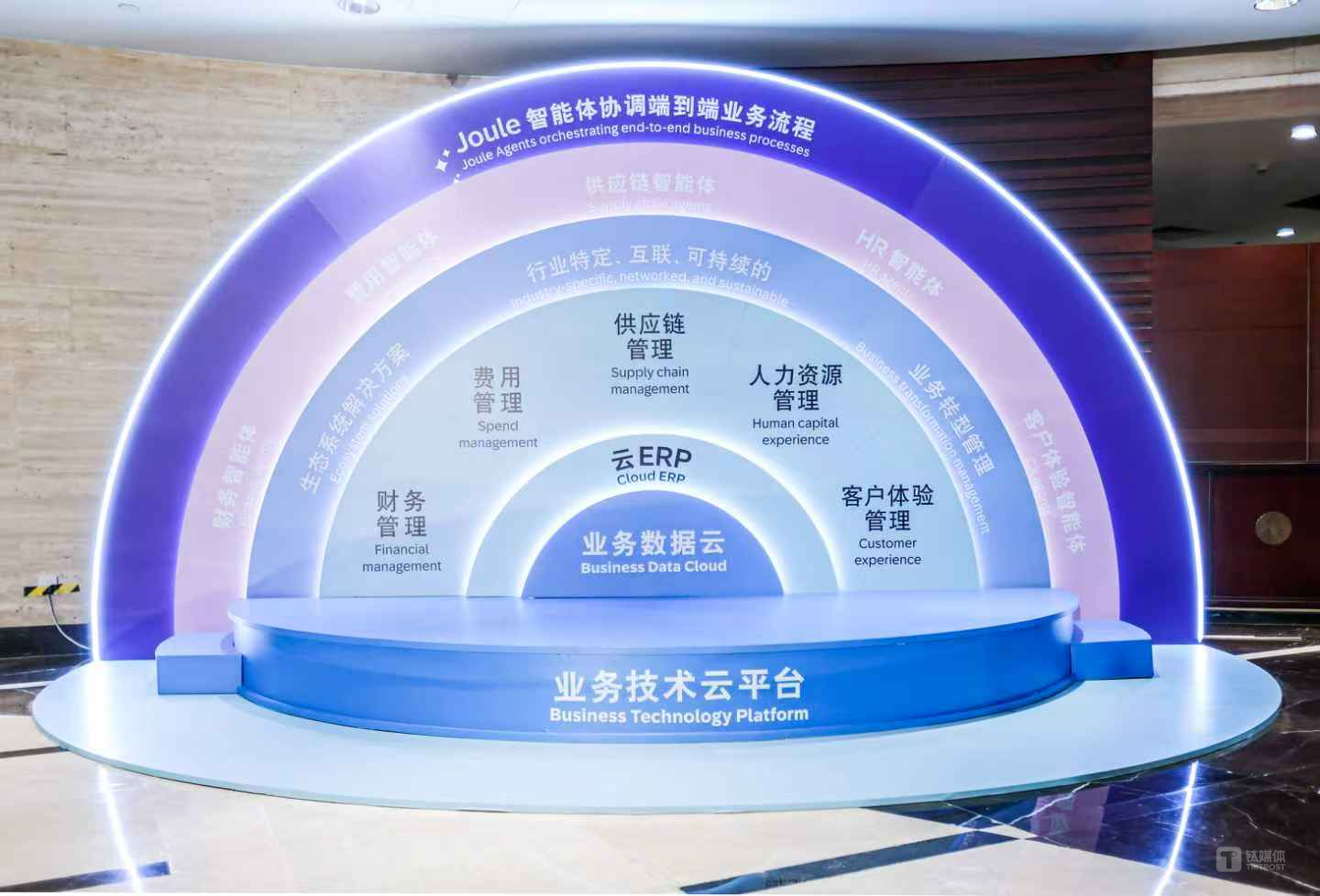 （SAP的商业智能AI系统——Business Suite）