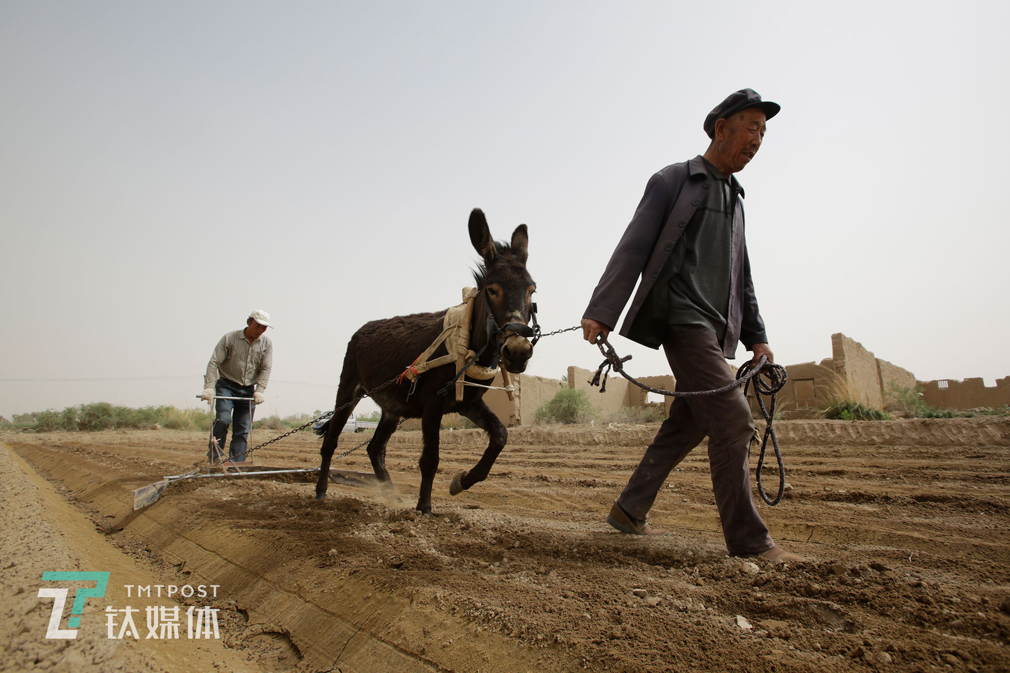薛志明的父親今年80歲，兒子忙的時(shí)候他也會(huì)下地幫著做點(diǎn)事，對(duì)他來(lái)說(shuō)，勞作是一生的習(xí)慣。幾十年以來(lái)，當(dāng)?shù)厝朔N地的方式?jīng)]什么大的變化。