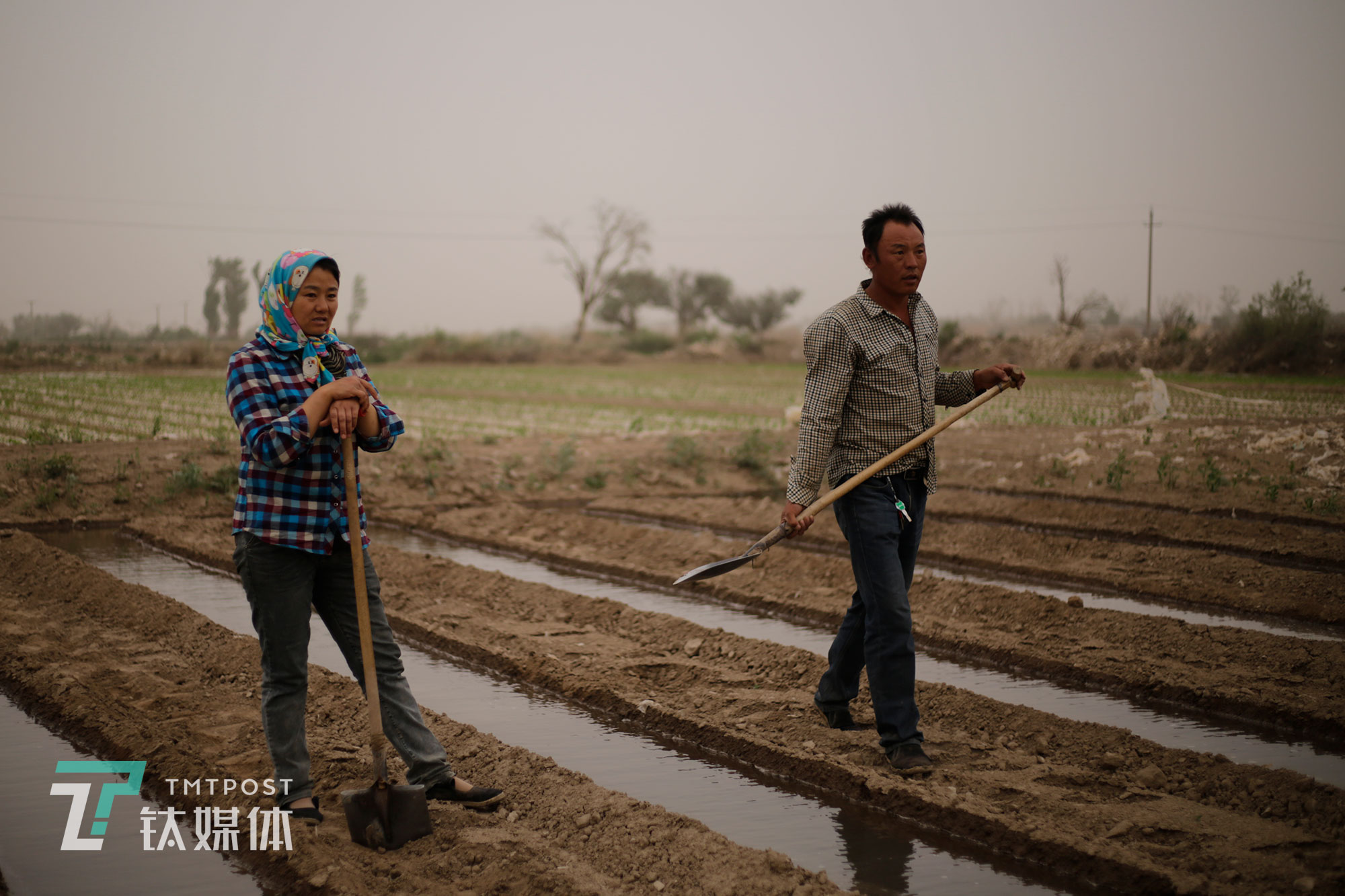 &ldquo;要不是為了小孩有個(gè)更好的生活，就不會(huì)在地里忙活了。&rdquo;夫妻倆在70公里外的民勤縣城買房子安了家，孩子也在縣城上學(xué)，倆人只在3月到8月種瓜賣瓜時(shí)回村住。
