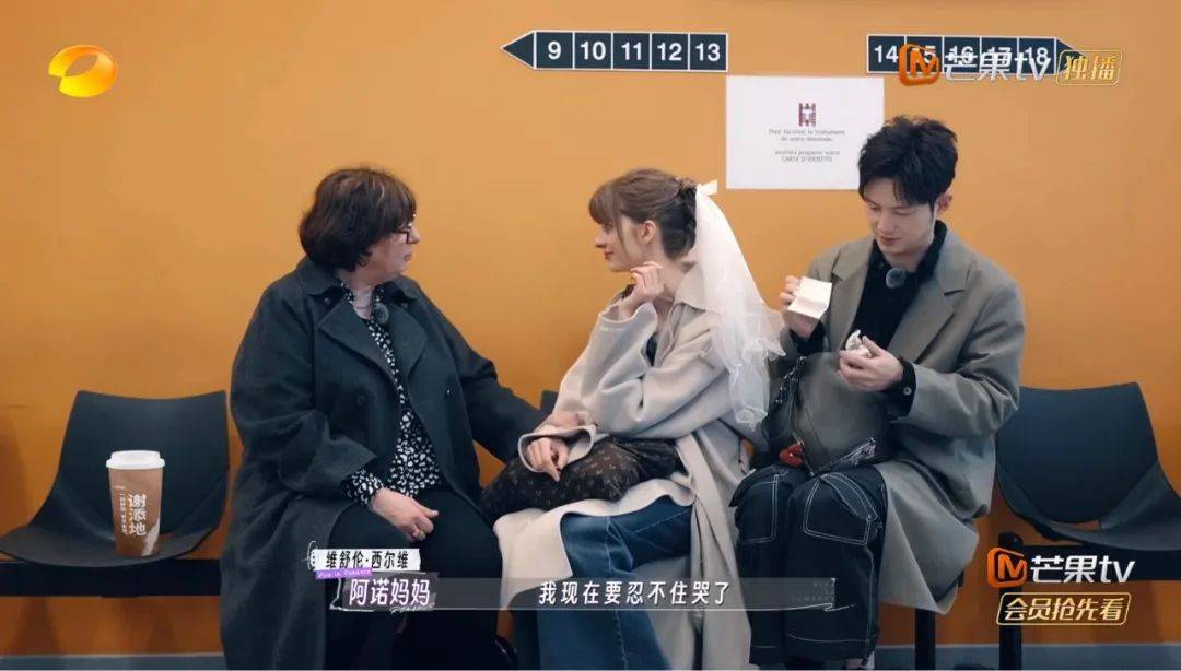 上半年综艺市场有“七大信号”值得揣摩