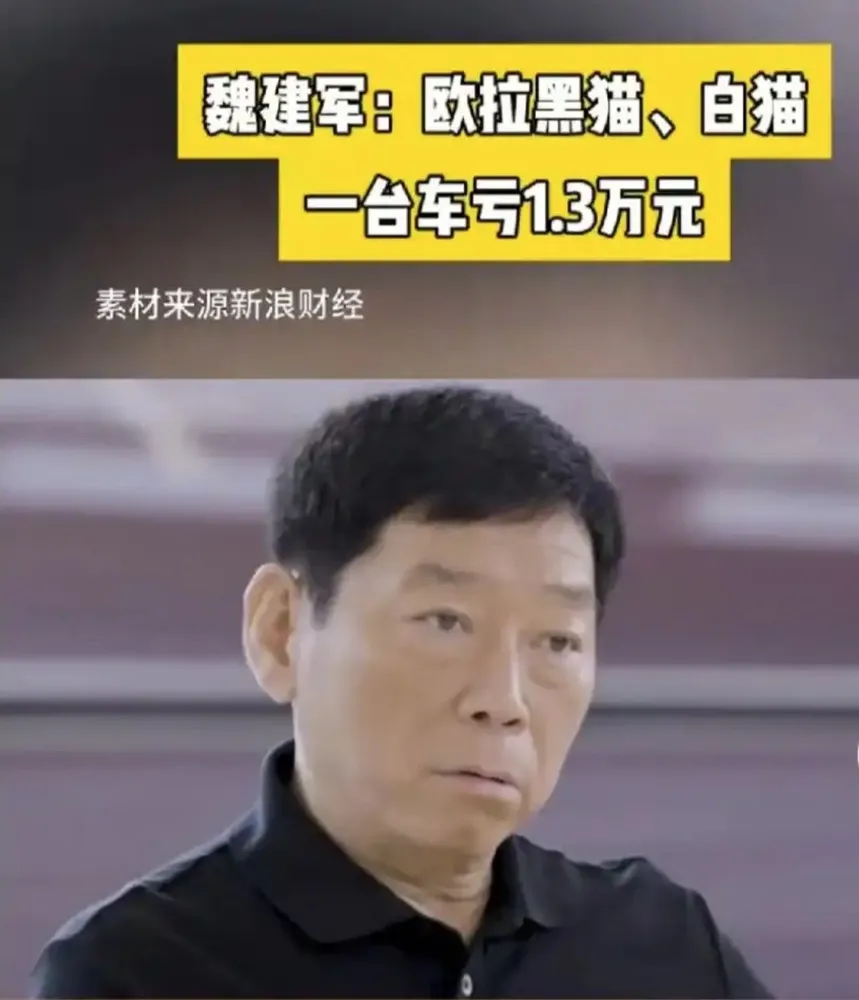 长城的“35岁深蹲”要靠纯电救赎吗？