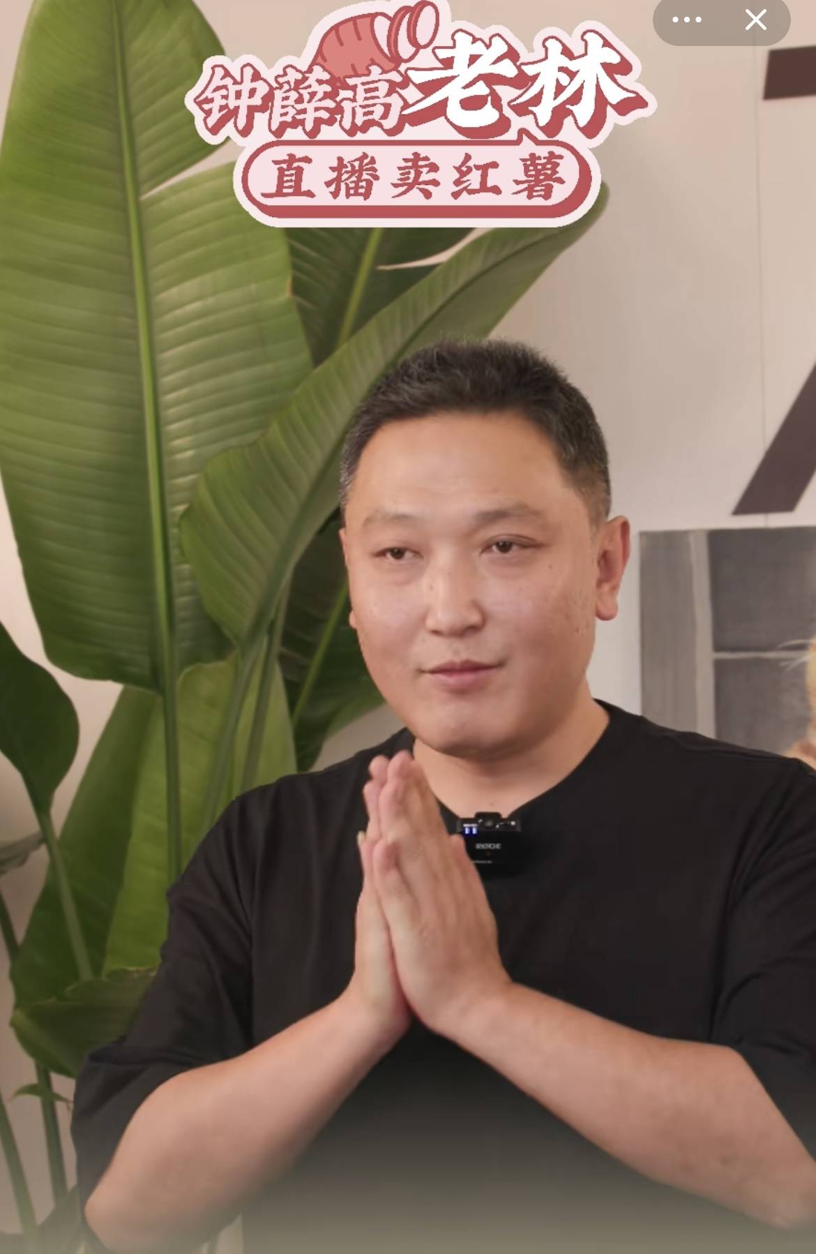 烧光13亿，昔日网红品牌被申请破产