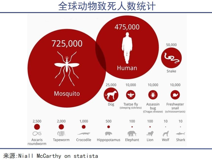 蚊子之恶，被长期忽视