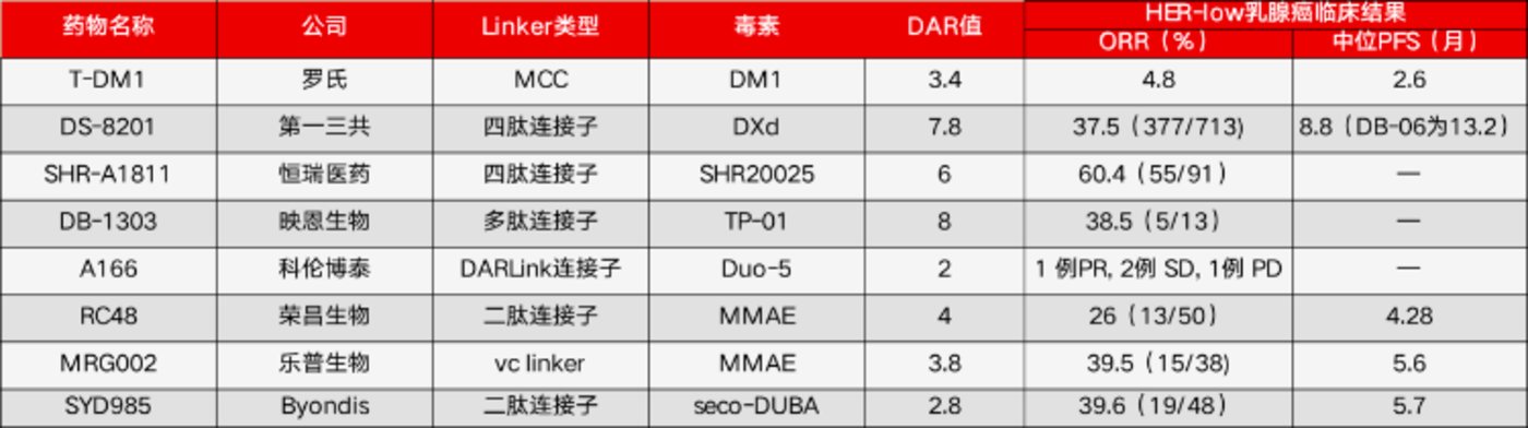 破局HER2低表达困境,ADC只是开始