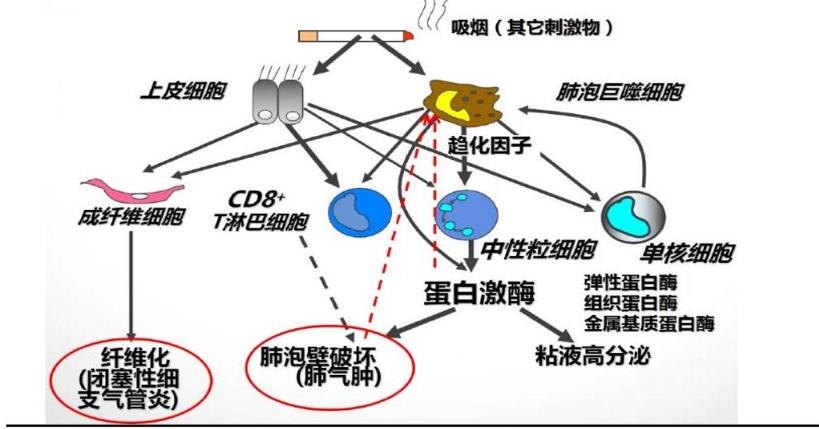 GSK全指着恒瑞了