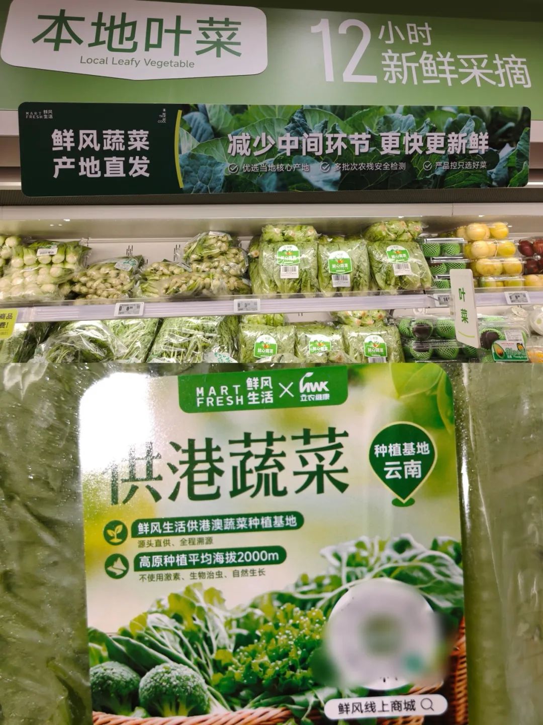 实探鲜风生活社区店：把精品商超“装进”社区小店，野心不止对标奥乐齐