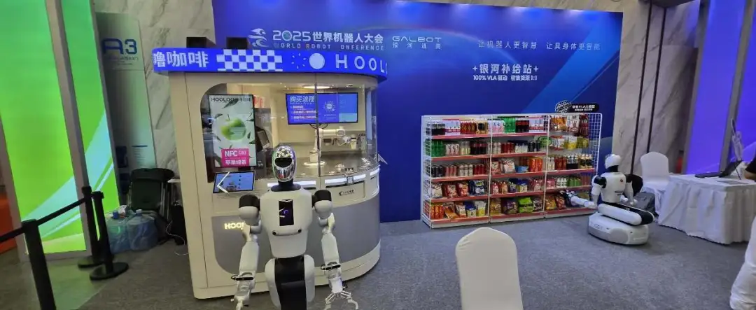 2025年，具身智能终于来到爆发前夜