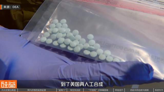 失控的芬太尼：药物滥用背后的权力、金钱与死亡