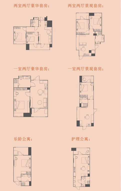 雅诗阁中国首开养老公寓，生意好干吗？