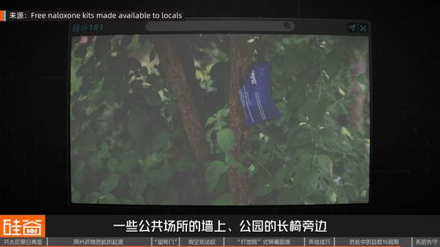 失控的芬太尼：药物滥用背后的权力、金钱与死亡