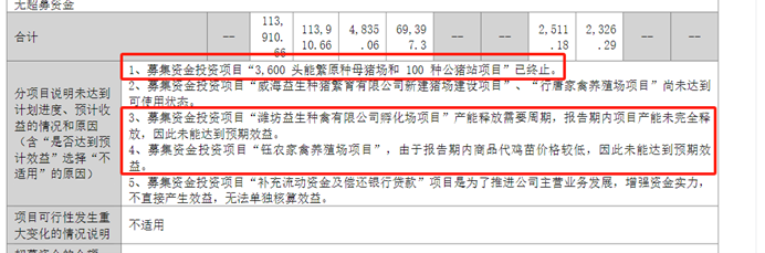 净利暴跌96%！"鸡周期"失灵？益生股份陷转型困局 | 看财报