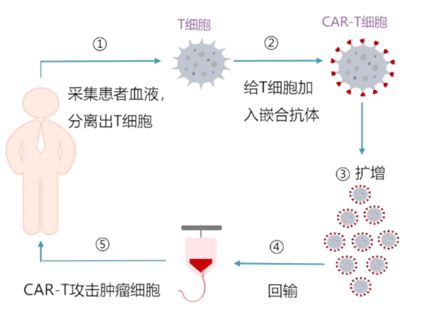 艺妙神州IPO：十轮融资过后，继续抗肿瘤前沿奋战，如何破冰？