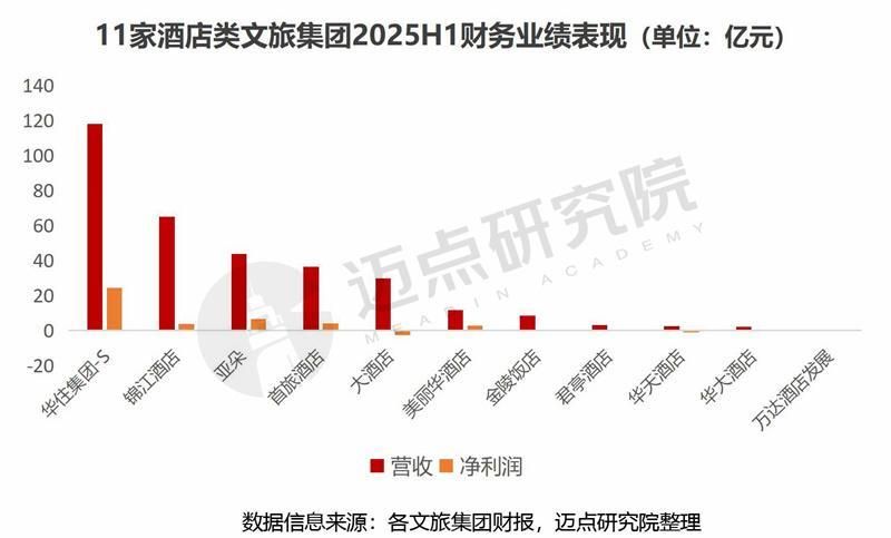 2025上半年文旅集团财务分析报告