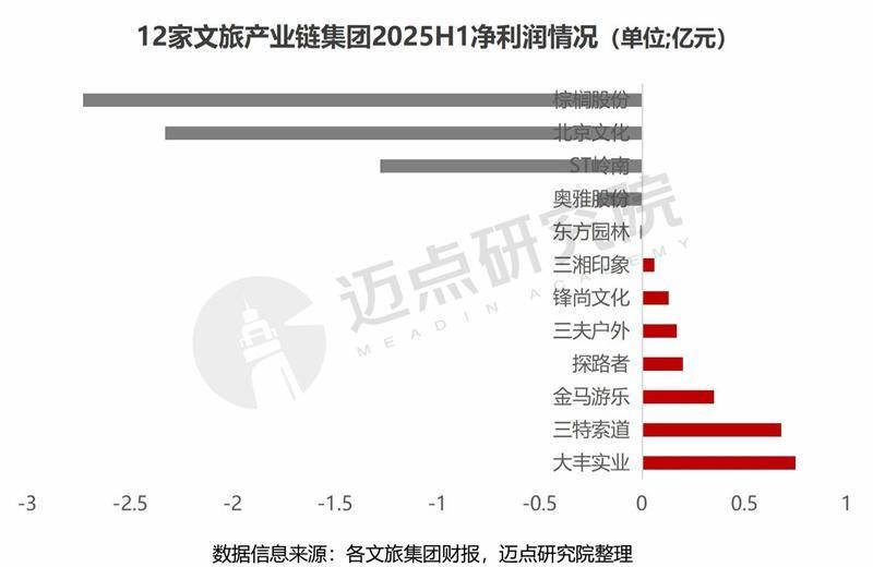 2025上半年文旅集团财务分析报告