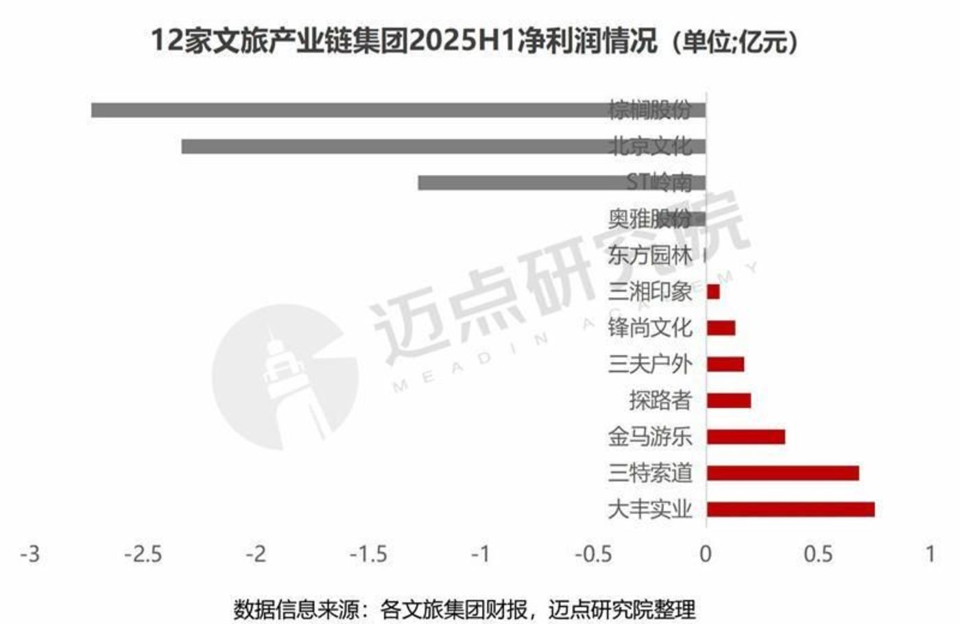 2025上半年文旅集团财务分析报告