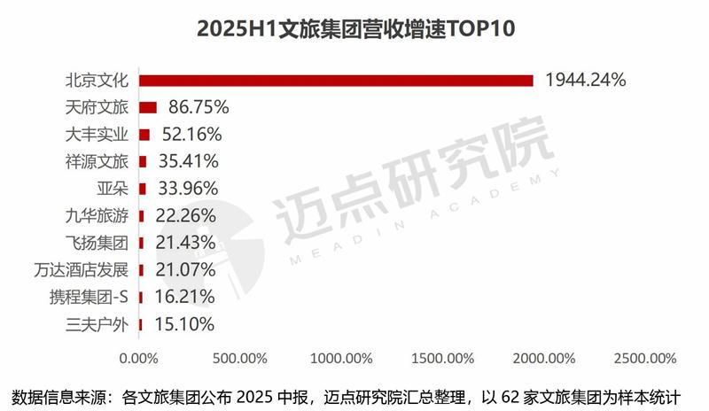 2025上半年文旅集团财务分析报告