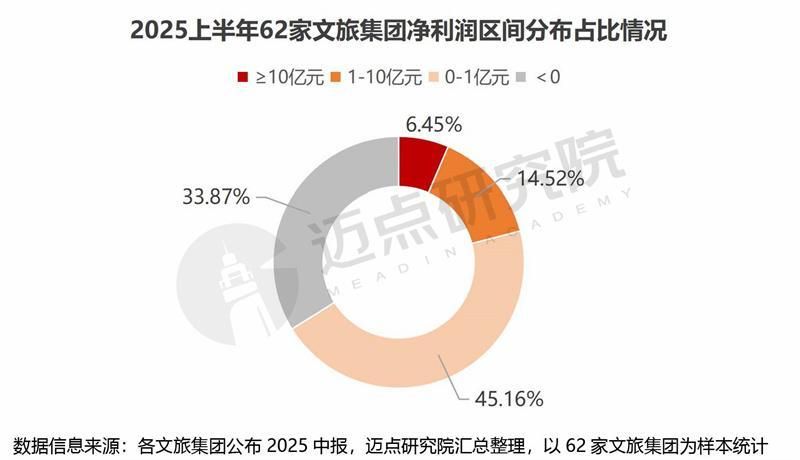2025上半年文旅集团财务分析报告