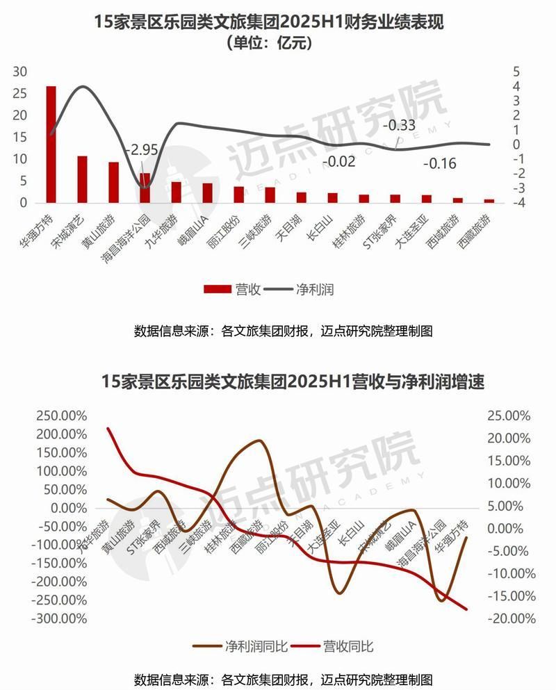 2025上半年文旅集团财务分析报告
