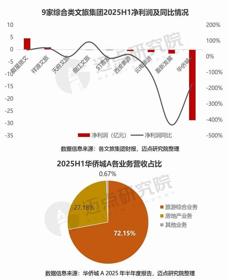 2025上半年文旅集团财务分析报告