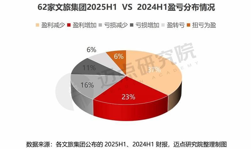 2025上半年文旅集团财务分析报告
