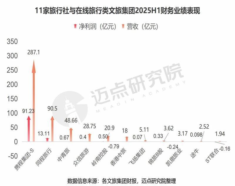 2025上半年文旅集团财务分析报告